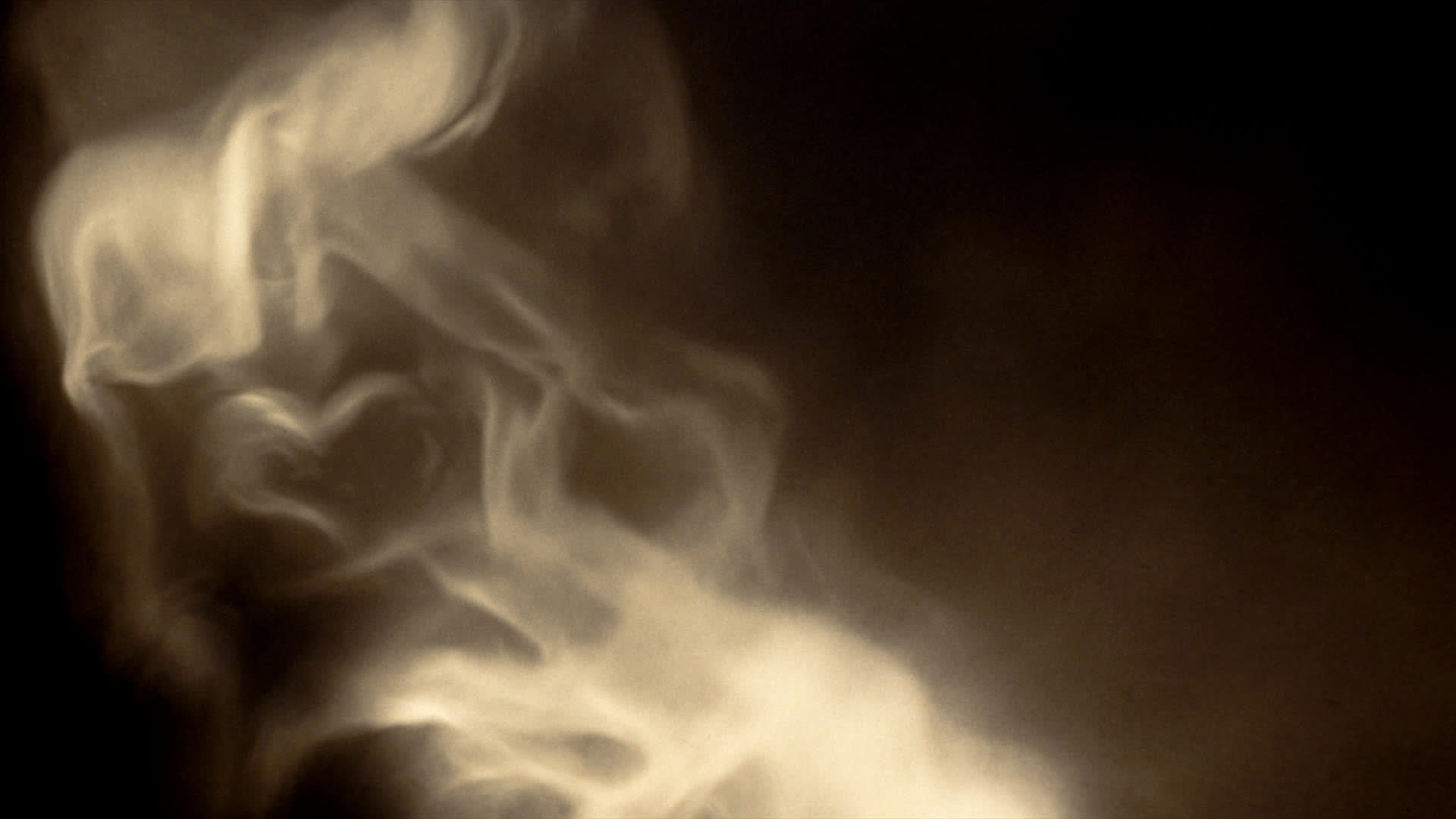 Warm steam rising in soft light, part of the natural facial process